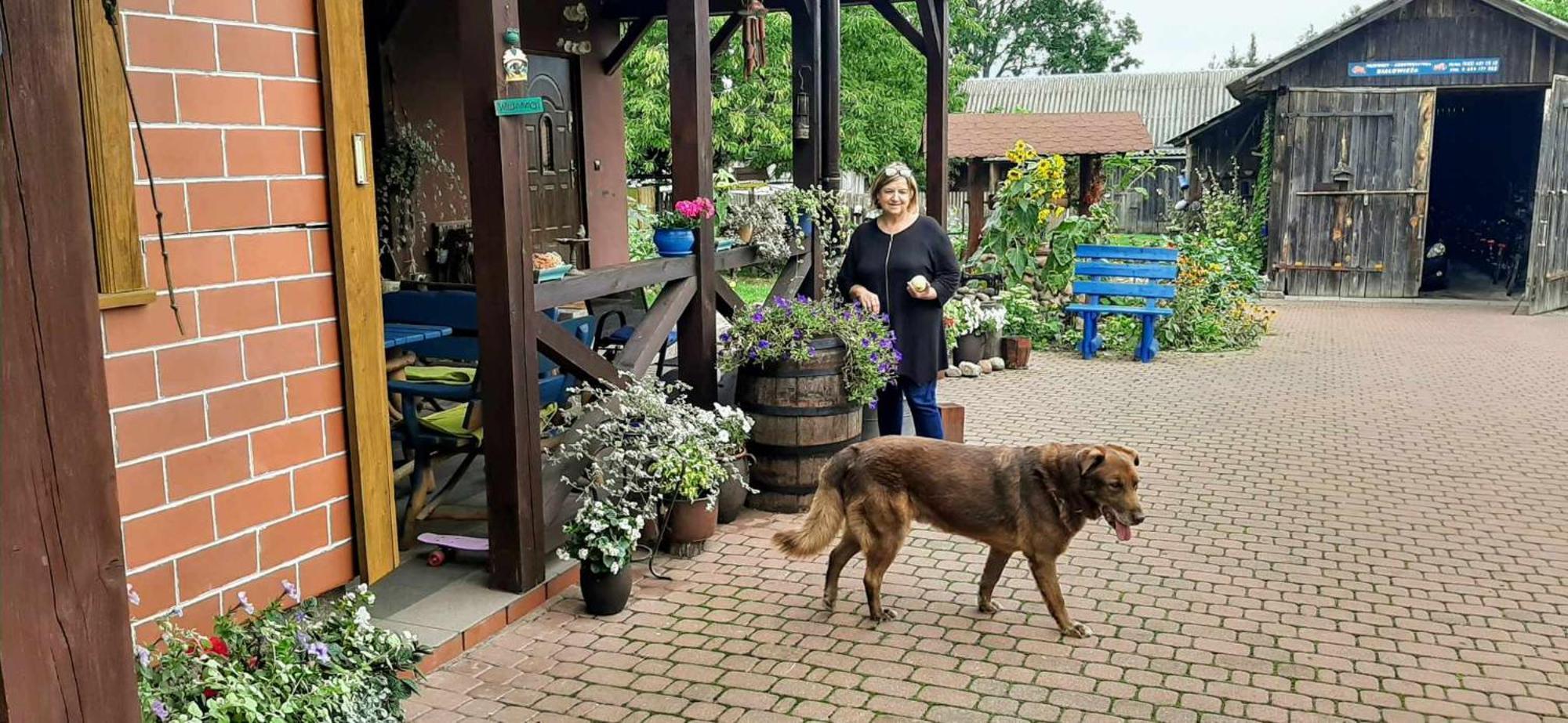 "Jutrzenka" Daire Białowieża Dış mekan fotoğraf